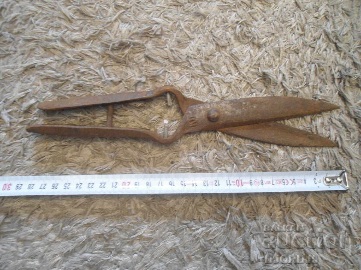 Livrarea Foarfecă veche forjată, marcaj, interior Livrarea Foarfecă veche forjată, marcaj, interior