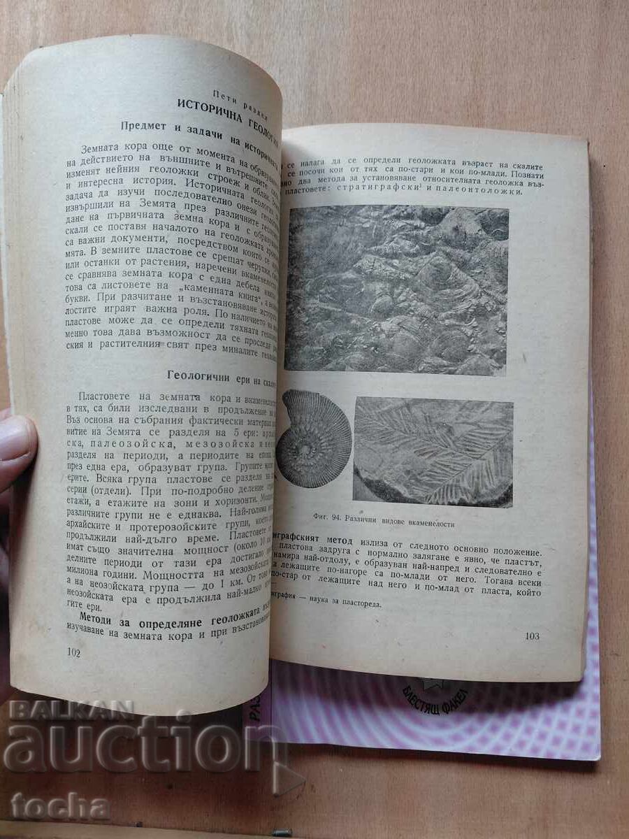 Licitație Geologie, Metode de calcul, lot