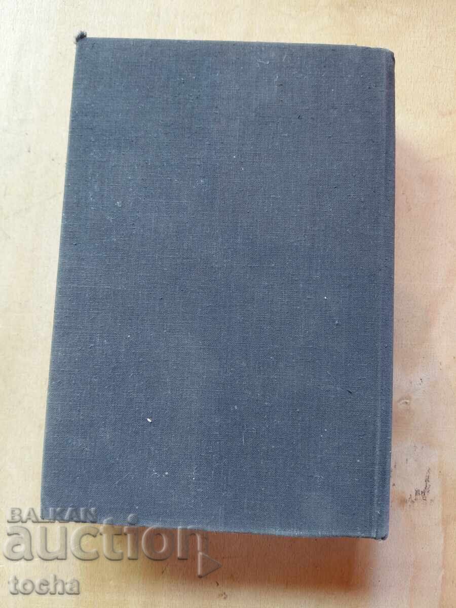Видрица - 6