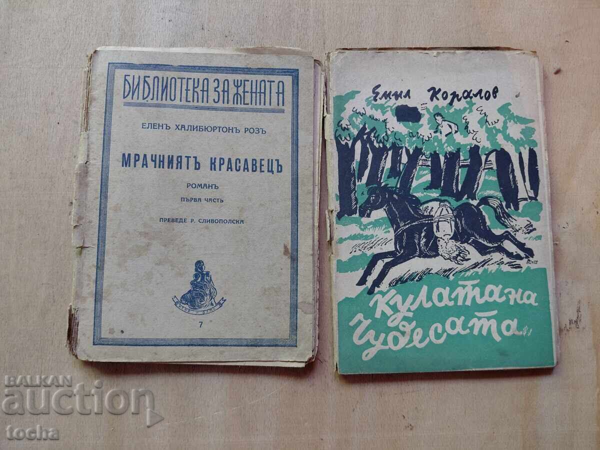 Frumosul întunecat, Turnul minunilor, lot