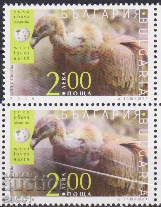 Clean Mark Fauna Wiki loves the earth Vulture 2016 από τη Βουλγαρία