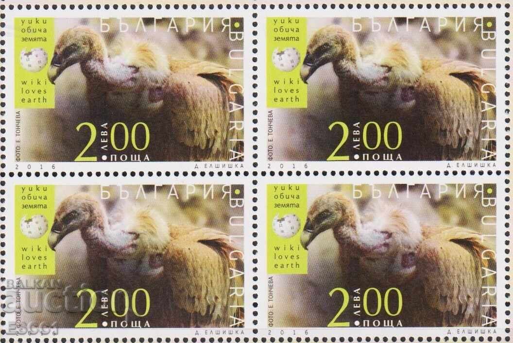 Marcă pură Fauna Wiki iubește pământul Vultur 2016 din Bulgaria Marcă pură Fauna Wiki iubește pământul Vultur 2016 din Bulgaria