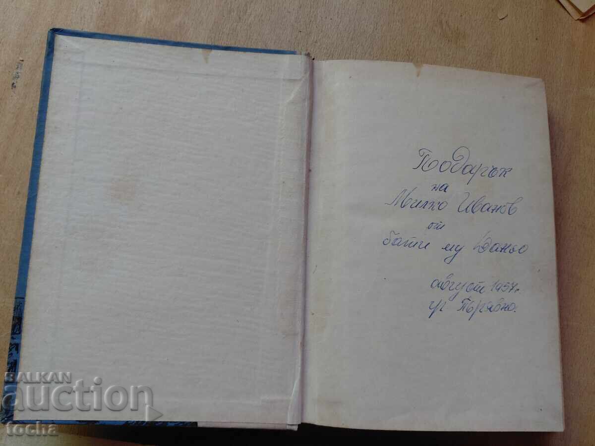 Licitație Povestiri revoluționare, Botmanul, lot