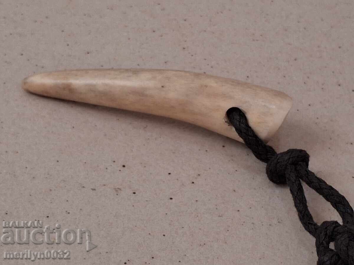 Livrarea Colier vechi cu dinte de urs podoabă ornament bijuterie gerdan colier