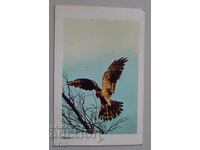 Eagle Calendar – 1984
