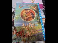 Sălbatică iluzie Cassie Edwards