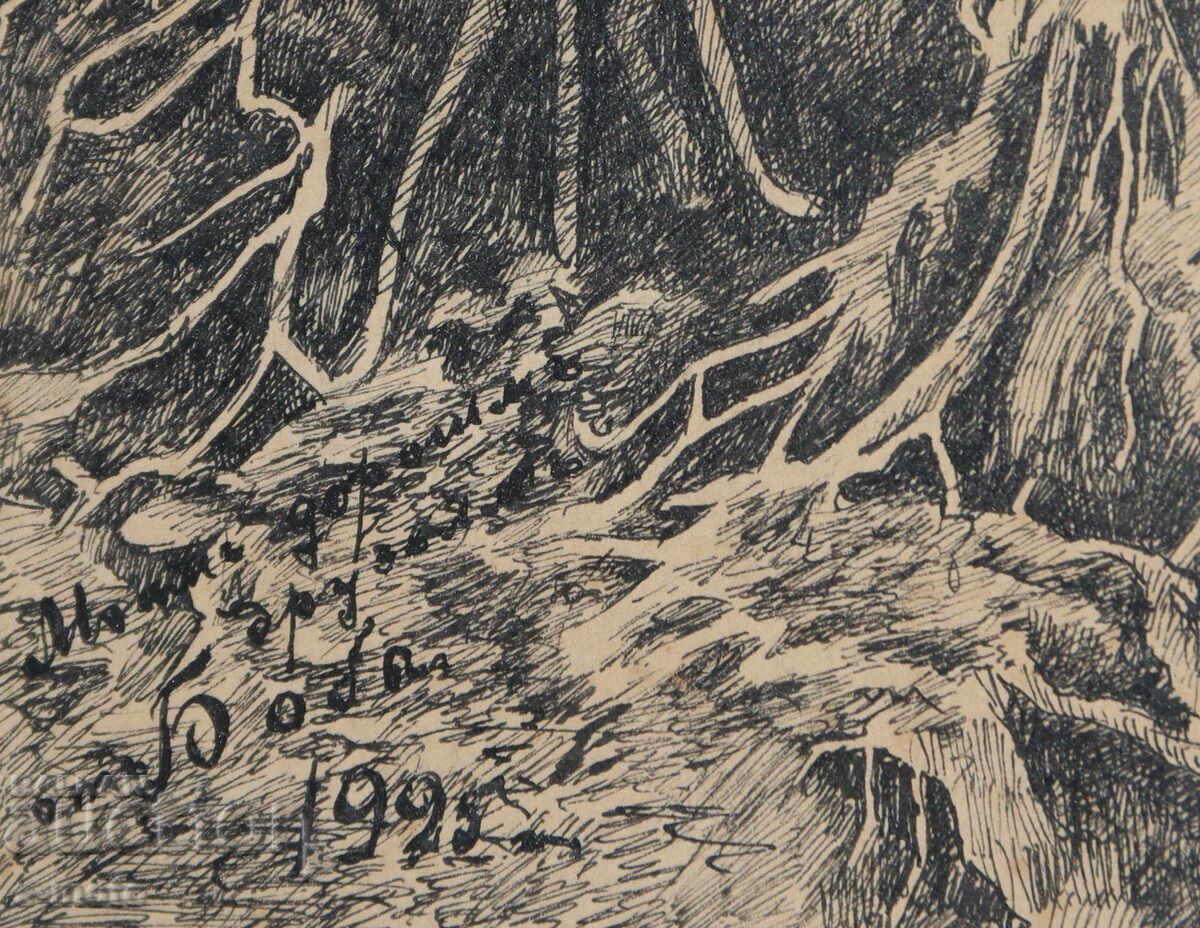 1925 Πρωινό σε πευκοδάσος χαρακτικό γραφικά - 6