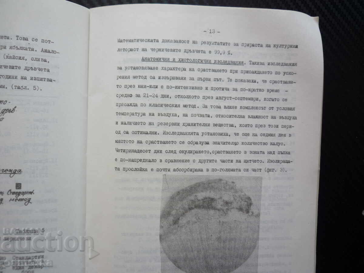 Δημοπρασία Έρευνες πάνω σε ορισμένες μεθόδους φυτικής αναπαραγωγής