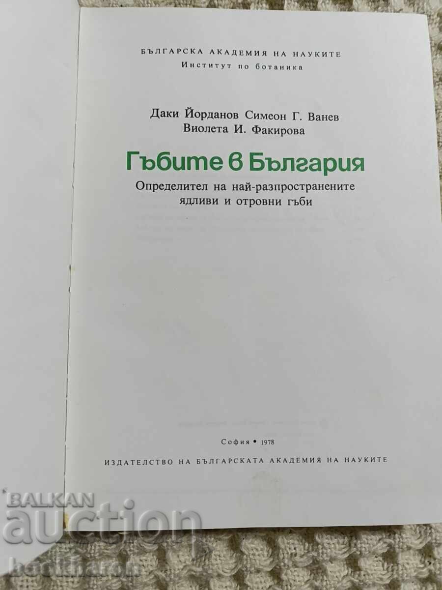 Μανιτάρια στη Βουλγαρία με τιμή € 26.00 | 50.85 BGN