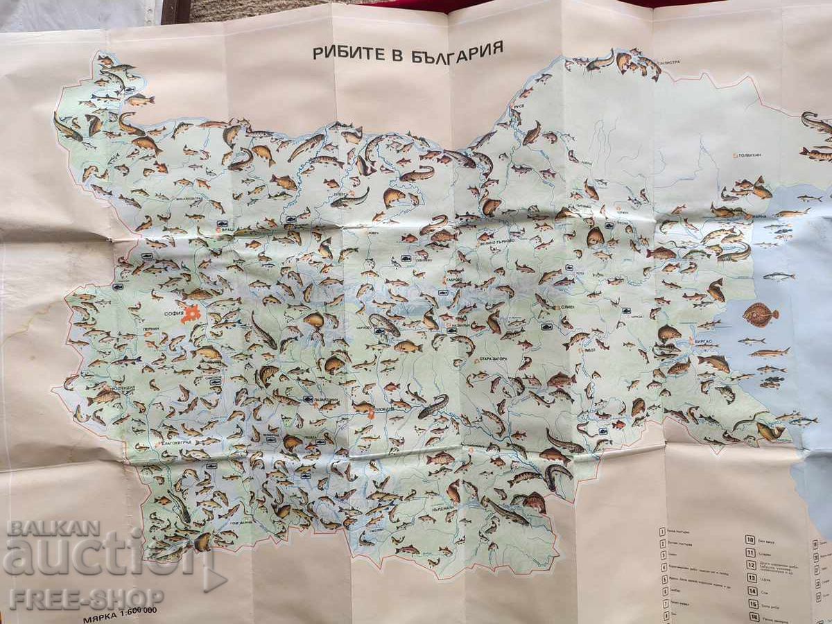 Hartă veche cu peștii din Bulgaria