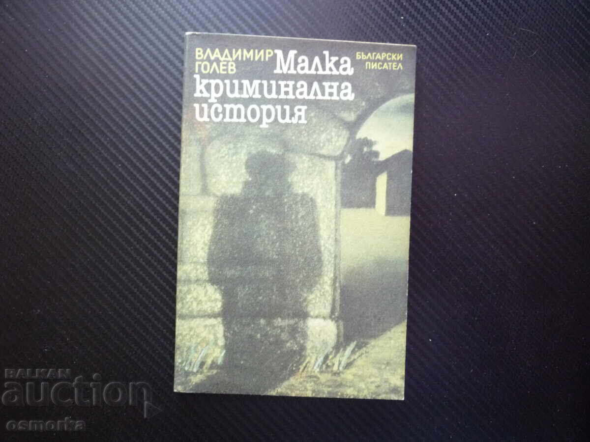 A Small Criminal Story Vladimir Golev mystery novel case