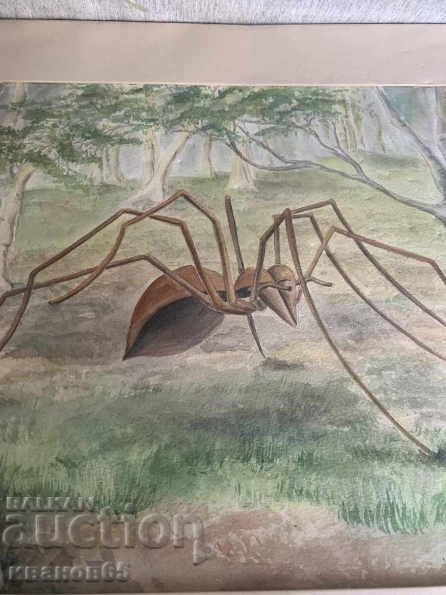 Licitație pictură Acuarelă păianjen mitic Licitație pictură Acuarelă păianjen mitic