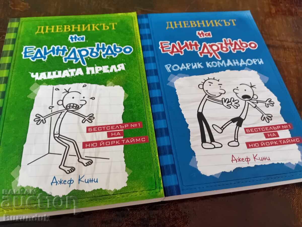 Jurnalul unui puști Jurnalul unui puști