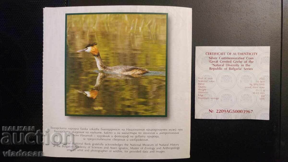 Licitație 10 BGN 2022. Grebe mare