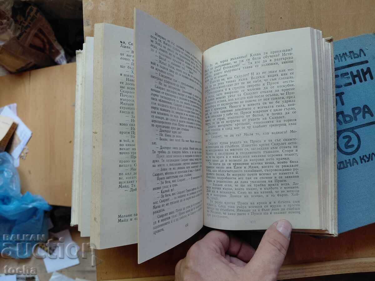 Livrarea Pe aripile vântului, lot