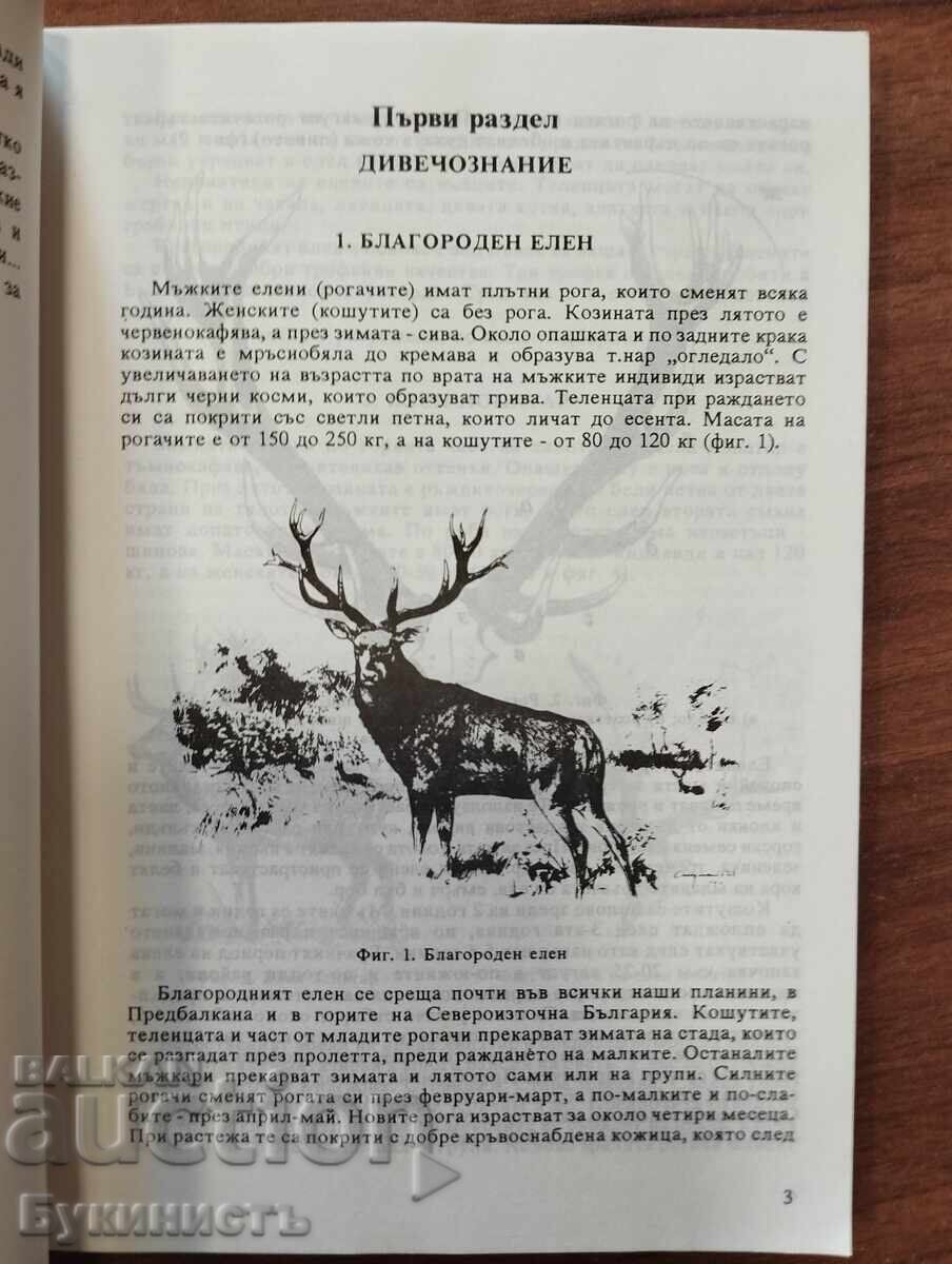 Licitație TANAR VANATOR Licitație TANAR VANATOR