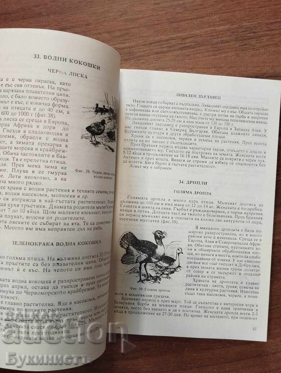 Livrarea TANAR VANATOR Livrarea TANAR VANATOR