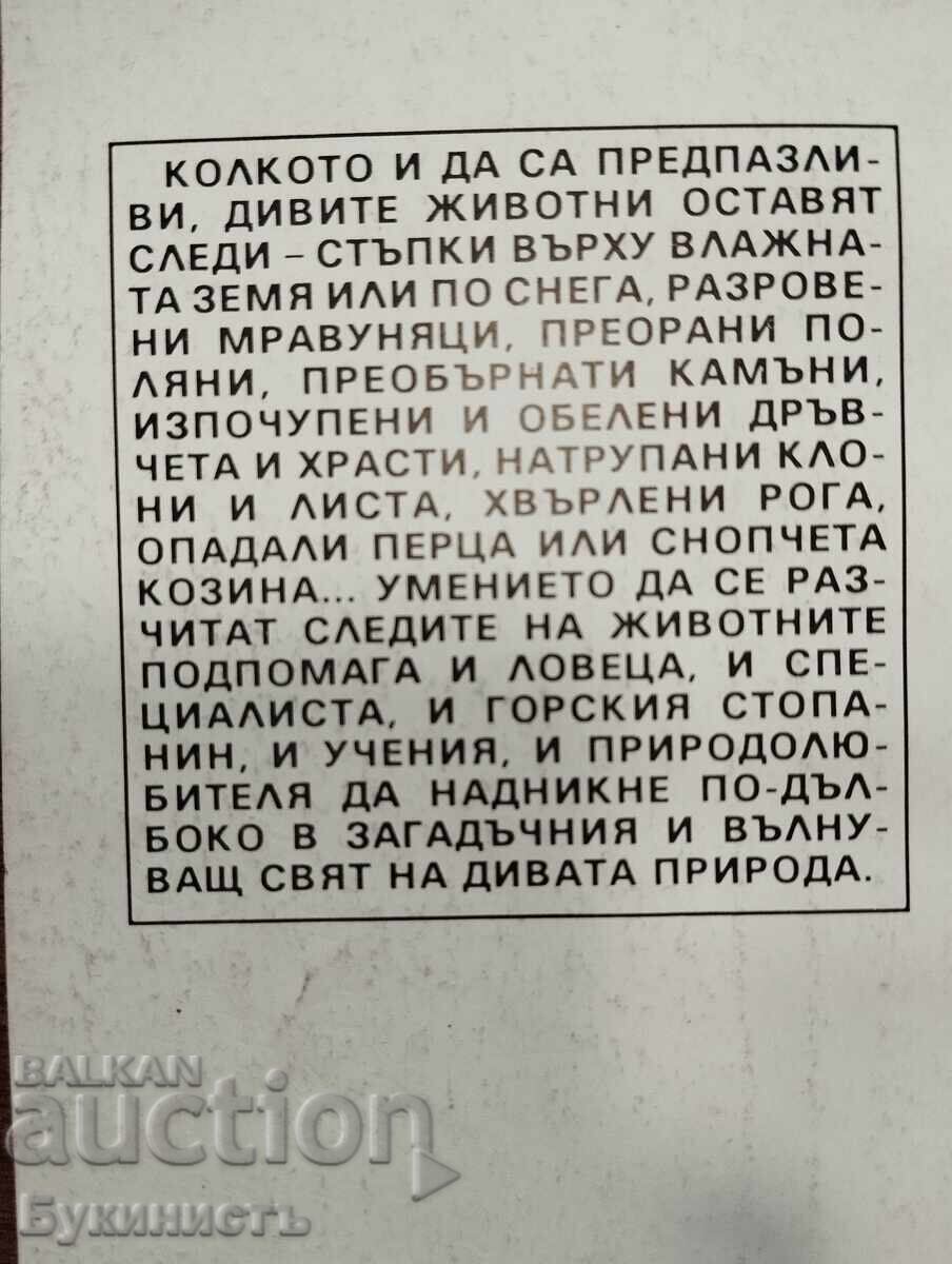 URMELE VÂNATULUI cu preț € 13.00 | 25.43 BGN