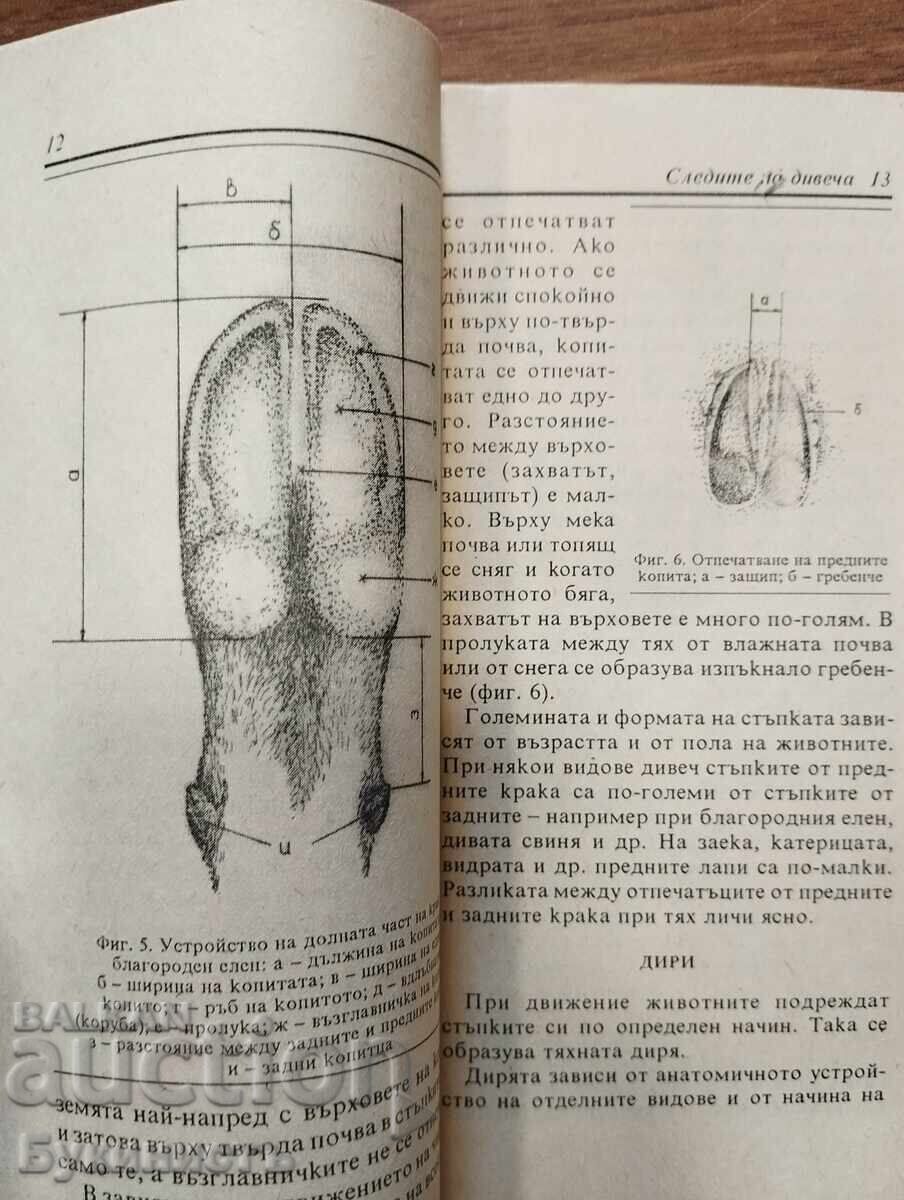 Licitație URMELE VÂNATULUI