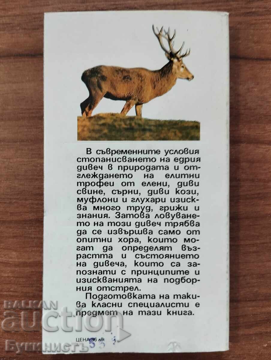Licitație VÂNĂTOARE SELECTIVĂ