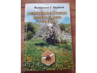 PLANTELE MELIFERE ȘI PĂȘUNATUL APICOL ÎN BULGARIA