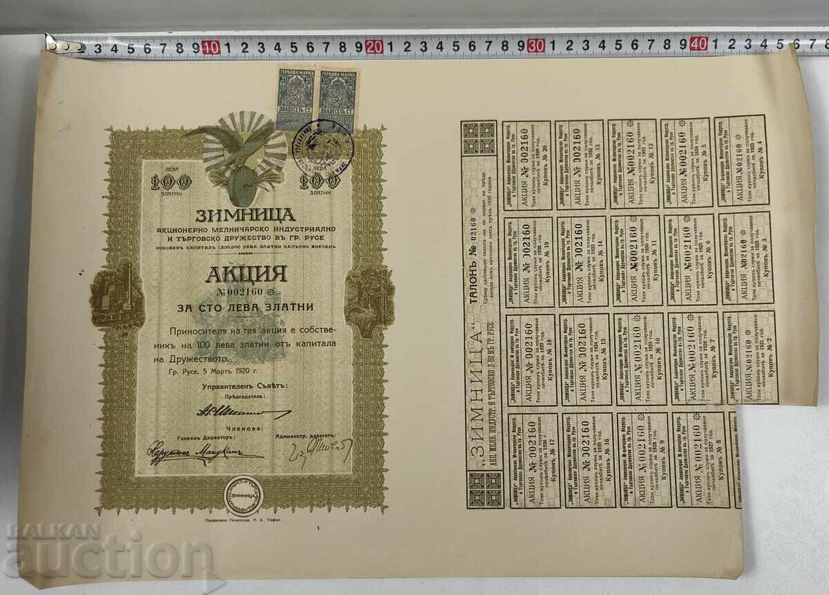 1920 ZIMNIȚA RUSE ACȚIUNE VECHE ACȚIUNI DOCUMENT PARTE OBLIGAȚIUNE