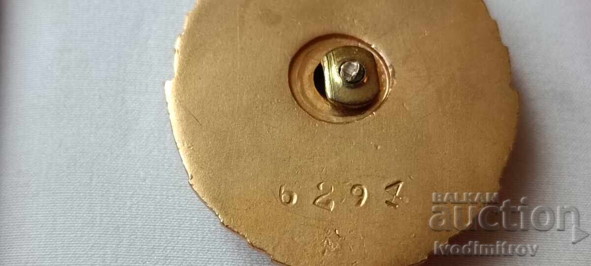 Licitație Ordinul Drapelul Roșu al Muncii nr. 6294 Carnet de ordin