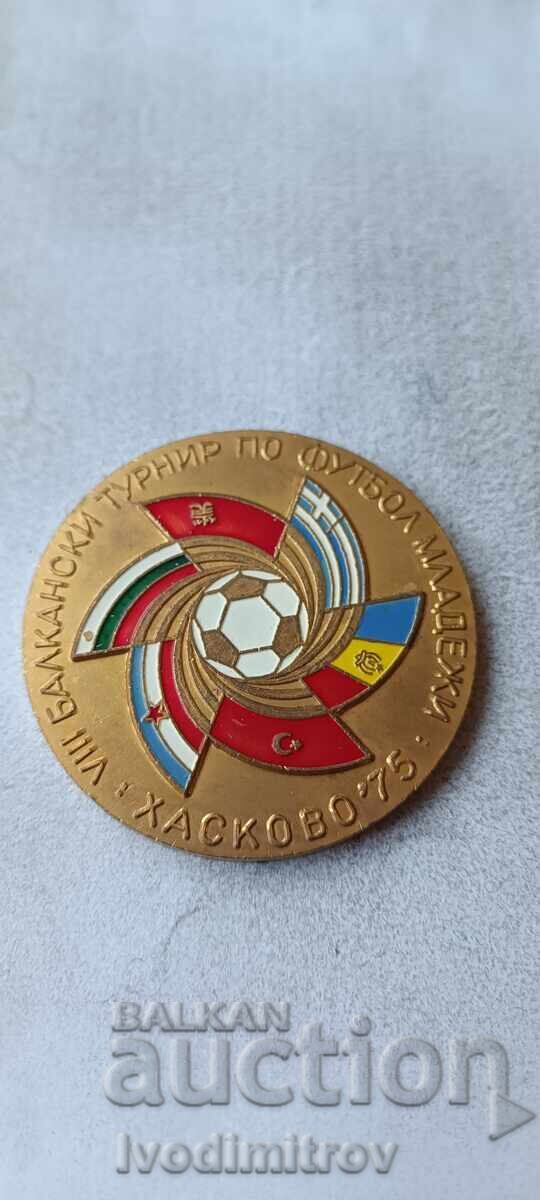 Plaque VIII Balkan Youth Football Tournament Haskovo '75 Plaque VIII Balkan Youth Football Tournament Haskovo '75
