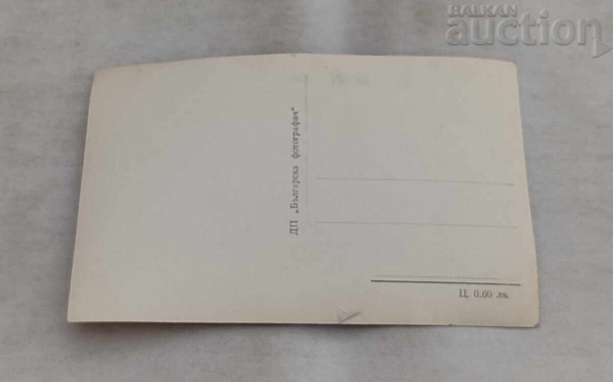 ПЛЕВЕН СКОБЕЛЕВИЯТ ПАРК П.К. 1959 г. с цена € 0.80 | 1.56 лв. ПЛЕВЕН СКОБЕЛЕВИЯТ ПАРК П.К. 1959 г. с цена € 0.80 | 1.56 лв.