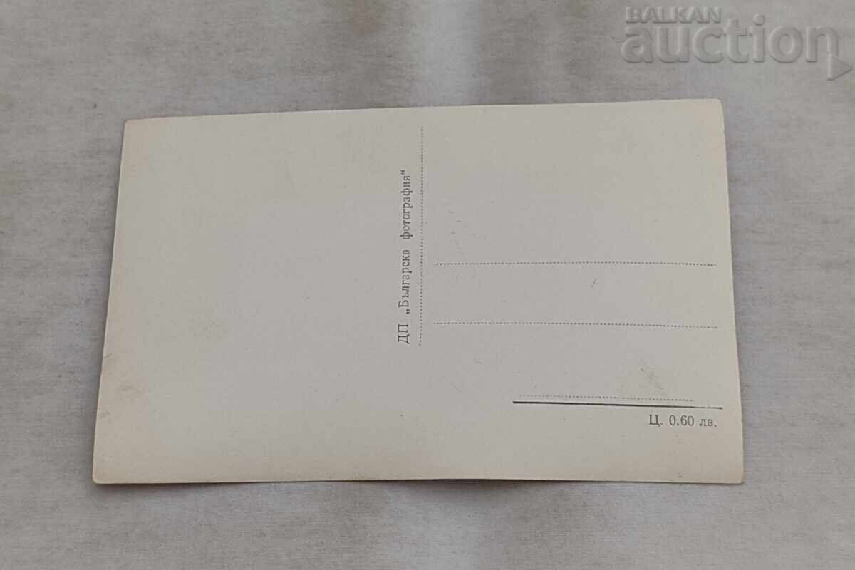 PLEVEN MAUZOLEUL P.C. 1959 cu preț € 0.80 | 1.56 BGN
