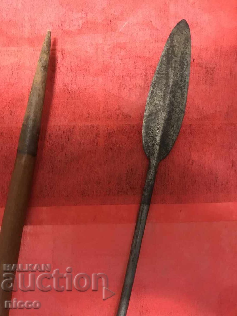 Suliță lungă Africa - 6