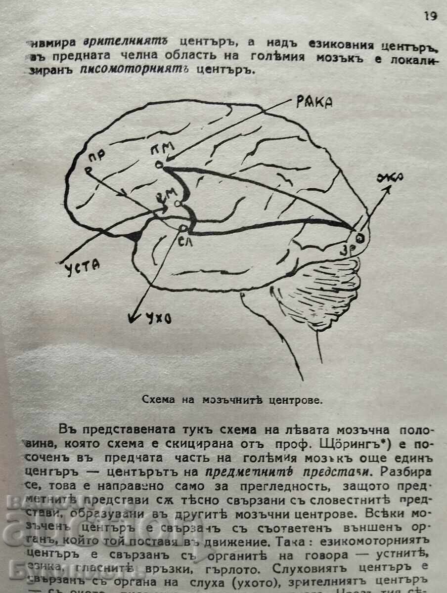 Licitație EXERCIȚIILE SCRISE ÎN ȘCOALA PRIMARĂ