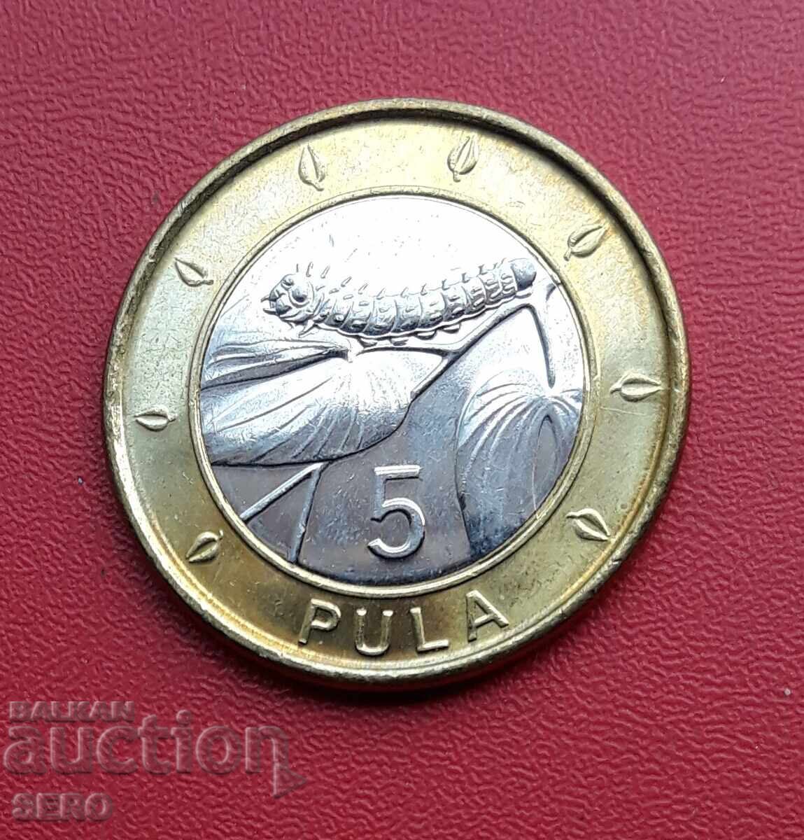 Botswana-5 Pula 2013-well preserved
