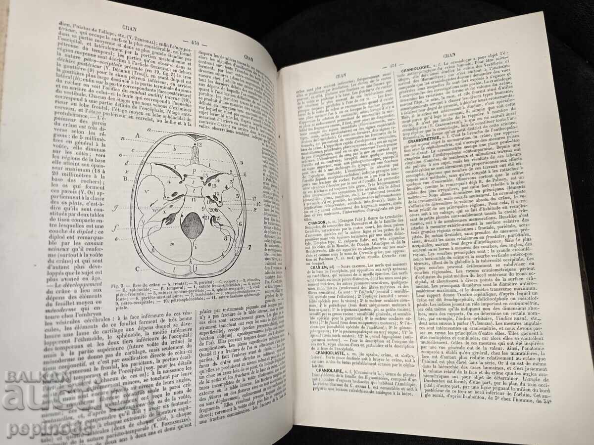 Antique medical book "Dictionnaire usuel des sciences" - 5 Antique medical book "Dictionnaire usuel des sciences" - 5