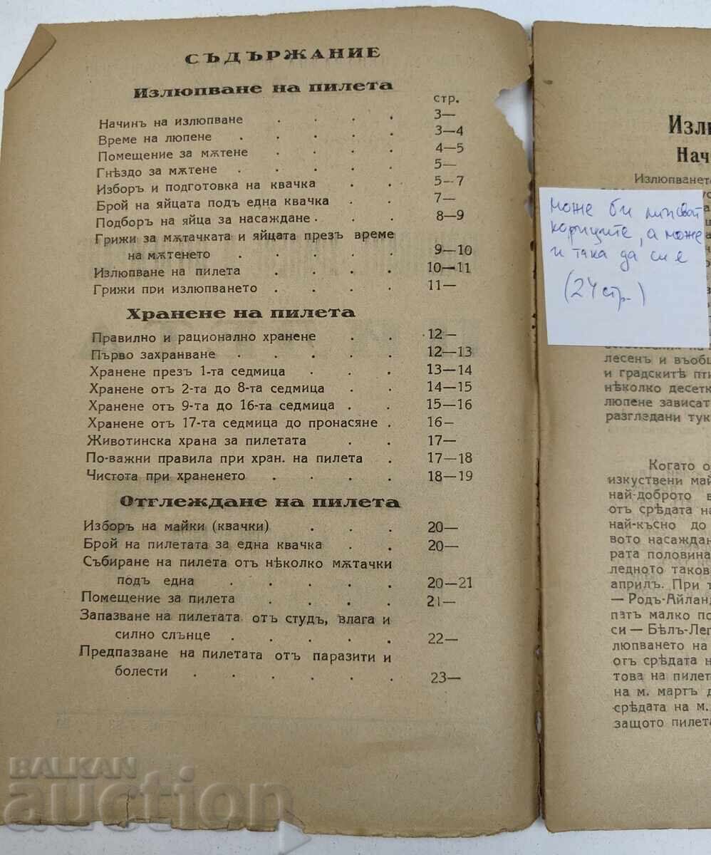 ИЗЛЮПВАНЕ ХРАНЕНЕ И ОТГЛЕЖДАНЕ НА ПИЛЕТА с цена € 7.00 | 13.69 лв.