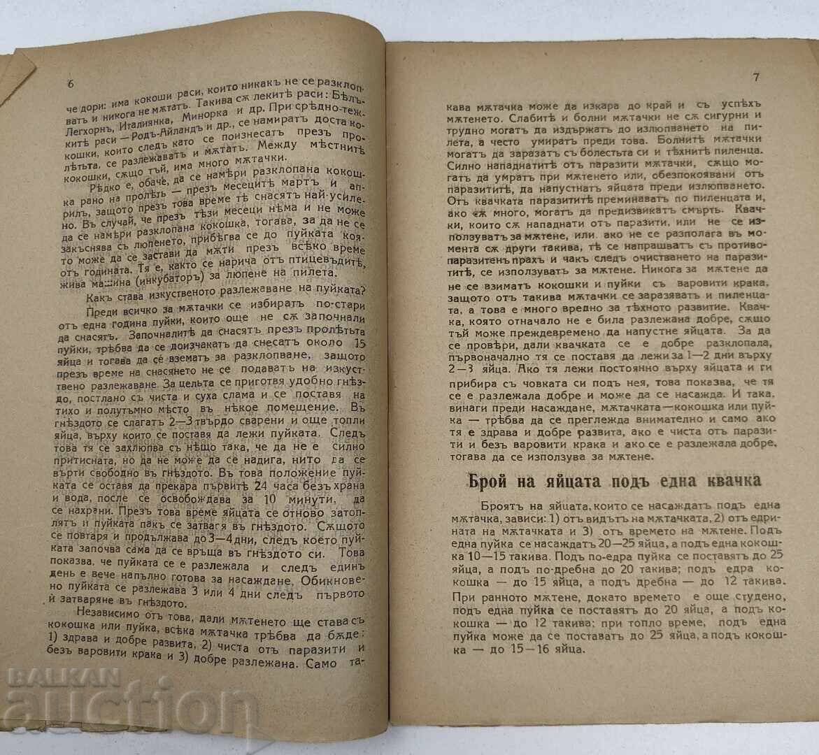 Аукцион ИЗЛЮПВАНЕ ХРАНЕНЕ И ОТГЛЕЖДАНЕ НА ПИЛЕТА