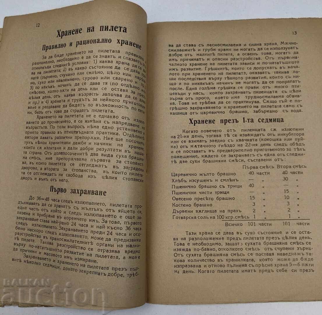 Доставка на ИЗЛЮПВАНЕ ХРАНЕНЕ И ОТГЛЕЖДАНЕ НА ПИЛЕТА