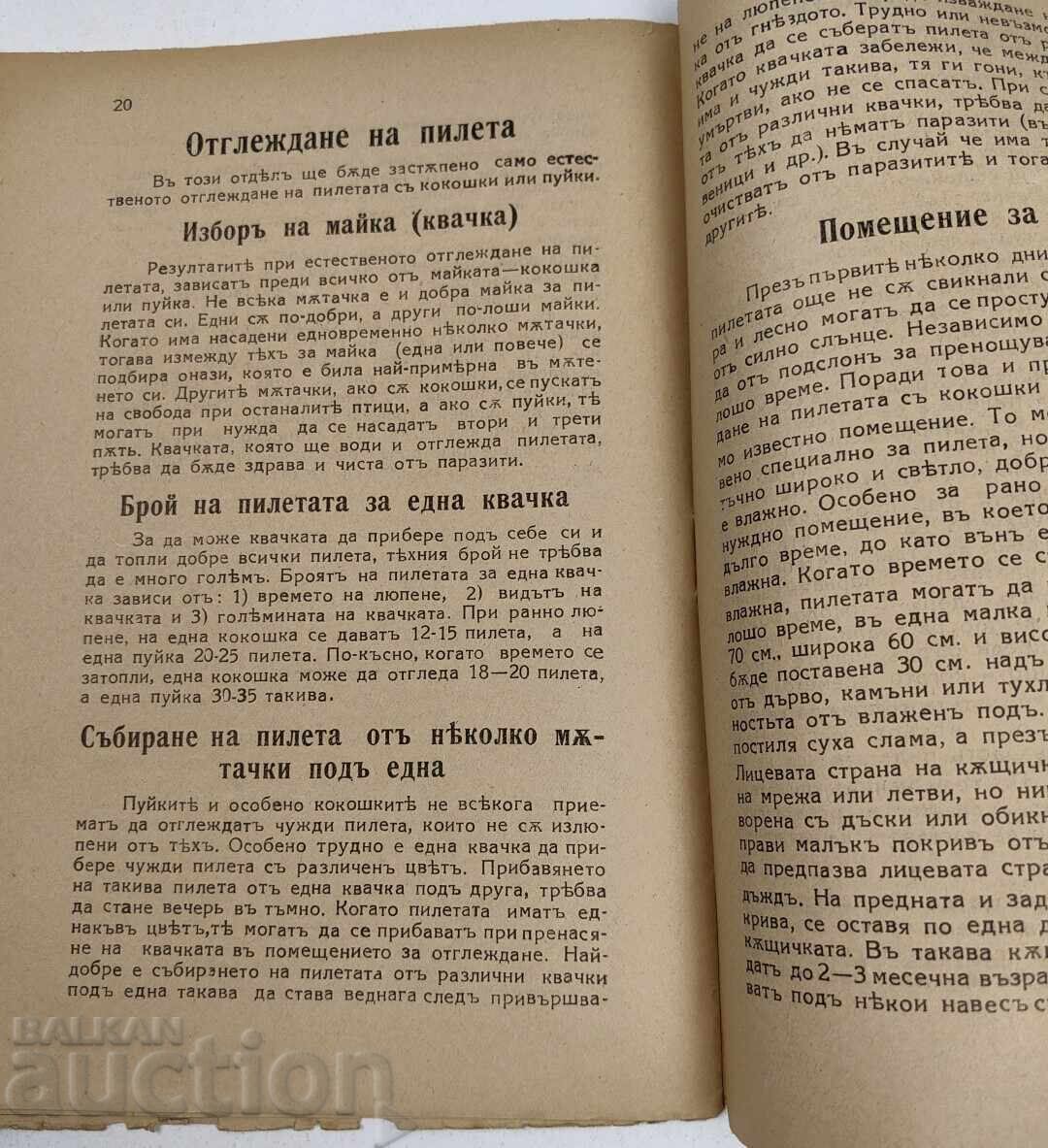 ИЗЛЮПВАНЕ ХРАНЕНЕ И ОТГЛЕЖДАНЕ НА ПИЛЕТА - 5