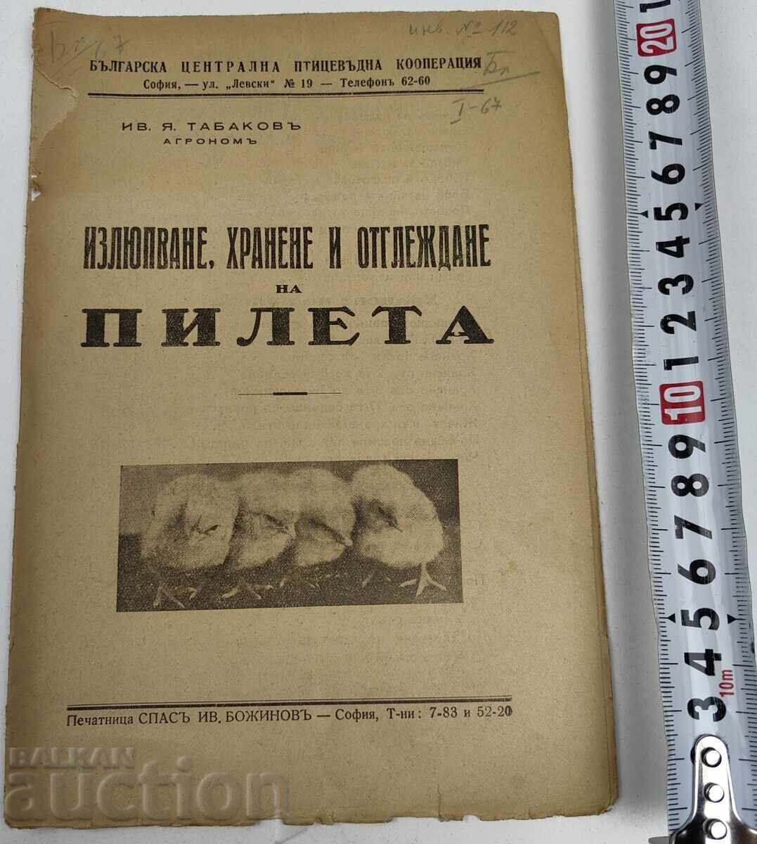 ИЗЛЮПВАНЕ ХРАНЕНЕ И ОТГЛЕЖДАНЕ НА ПИЛЕТА