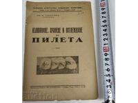 ИЗЛЮПВАНЕ ХРАНЕНЕ И ОТГЛЕЖДАНЕ НА ПИЛЕТА