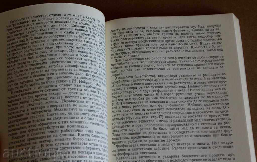 PRODUSELE APICOLE HRANĂ ȘI MEDICAMENT APICULTURĂ MIERE DE ALBINE cu preț € 8.00 | 15.65 BGN