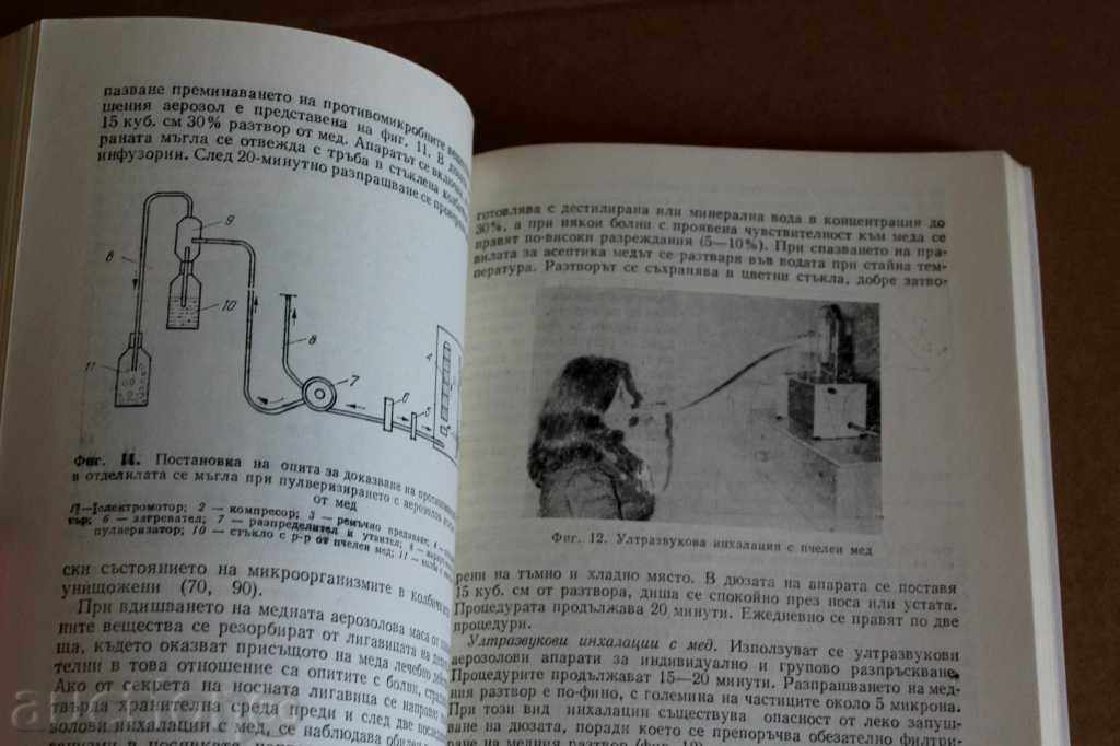 PRODUSELE APICOLE HRANĂ ȘI MEDICAMENT APICULTURĂ MIERE DE ALBINE - 7