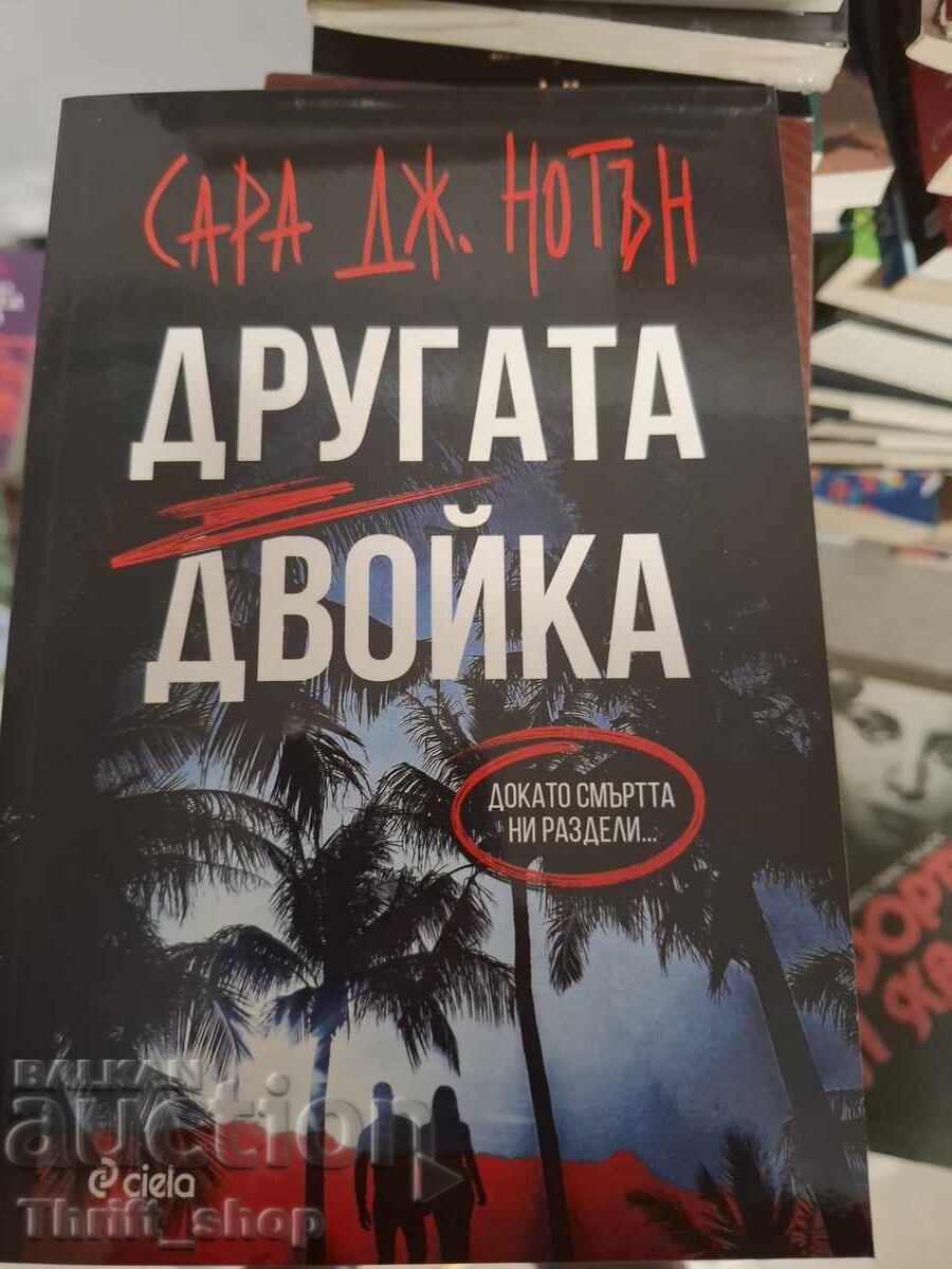 Cealaltă pereche Sarah J. Newton