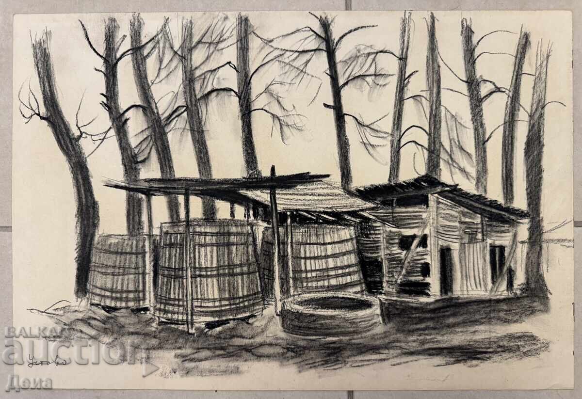 Desen de Zdravka Taseva