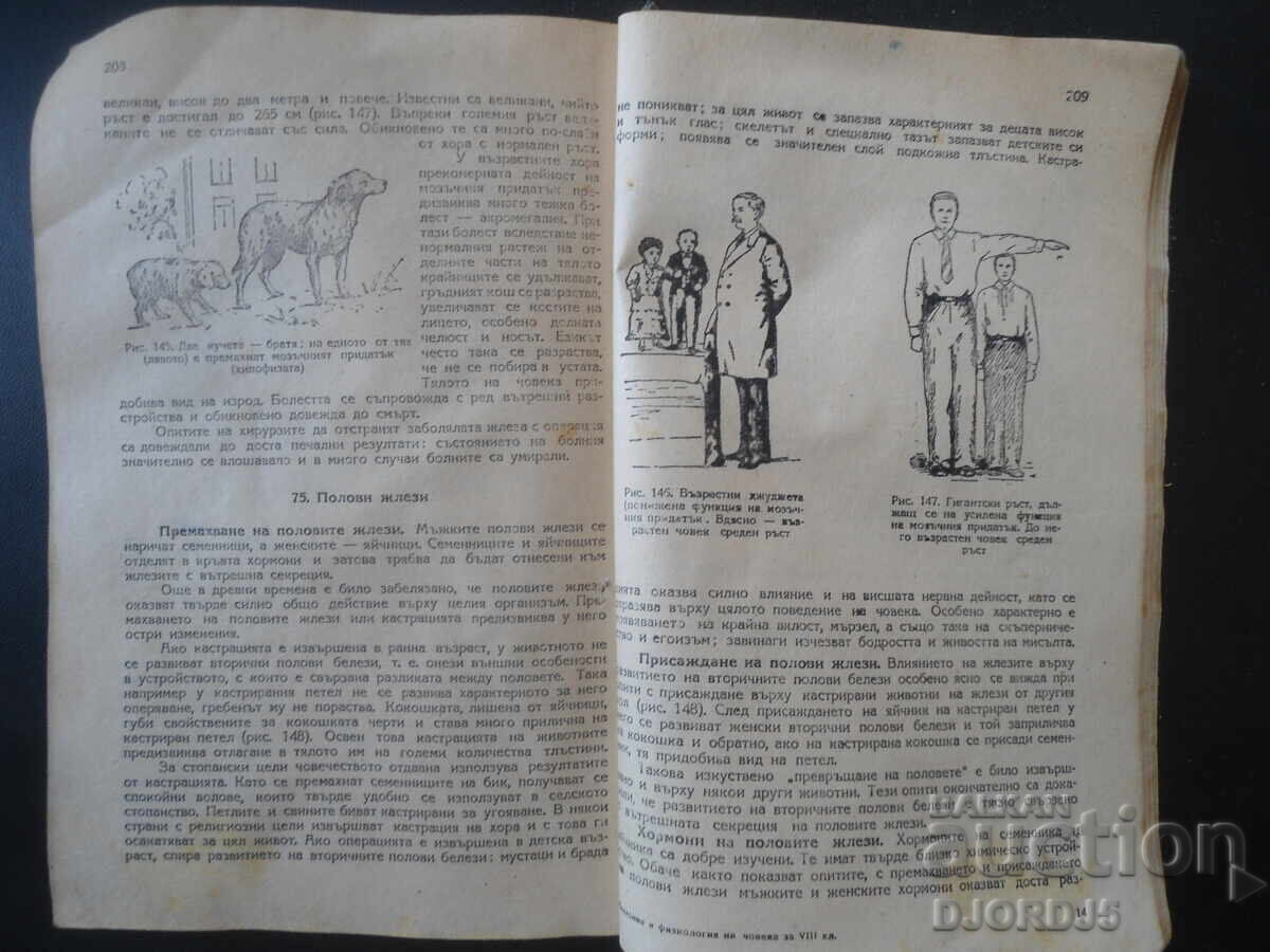 ANATOMIE ȘI FIZIOLOGIE pentru clasa a VIII-a - 5