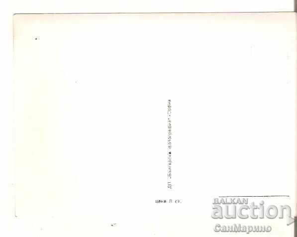 Κάρτα Βουλγαρία Γκεόργκι Ναούμοφ με τιμή € 0.50 | 0.98 BGN Κάρτα Βουλγαρία Γκεόργκι Ναούμοφ με τιμή € 0.50 | 0.98 BGN