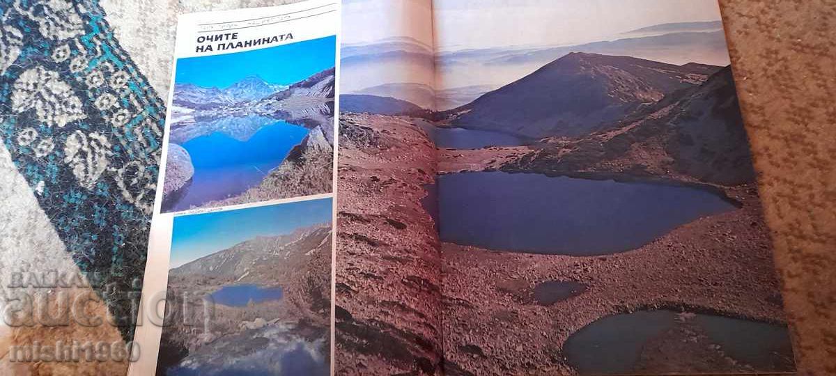 Δημοπρασία Πατρίδα/21