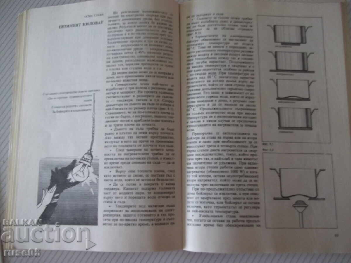 Livrarea Carte "Cum să economisim energie? - Gheorghi Balkanski" - 104 pag
