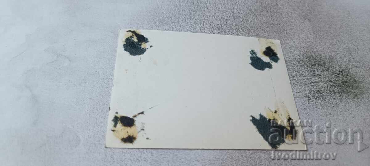 Fotografie Primirea unei delegații oficiale cu preț € 1.08 | 2.11 BGN Fotografie Primirea unei delegații oficiale cu preț € 1.08 | 2.11 BGN