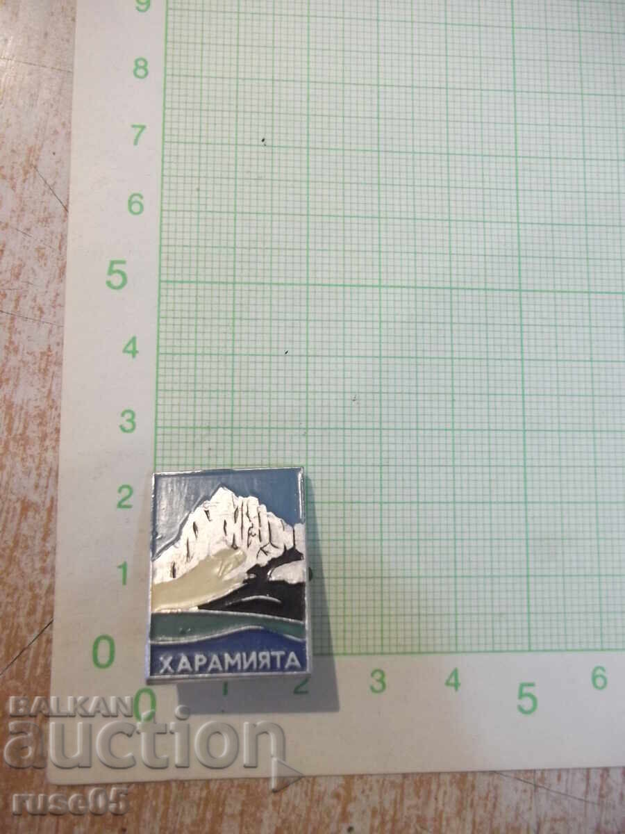 Insignă "Haramiata" - 1